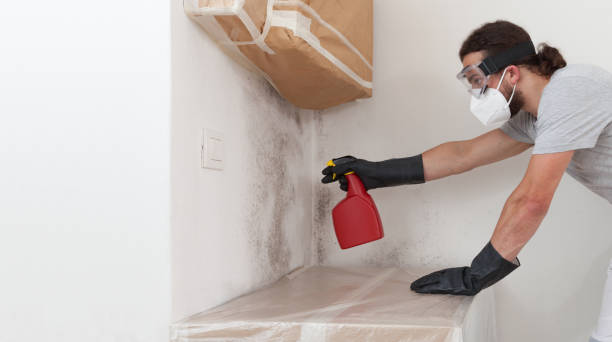 Professional Bathroom Mold Removal technician working in West Milton, PA